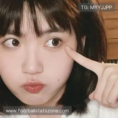 黄献崇